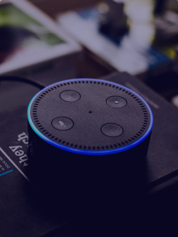 andres-urena-tsBropDpnwE-unsplash